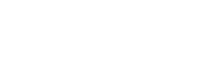 樹木のミスト